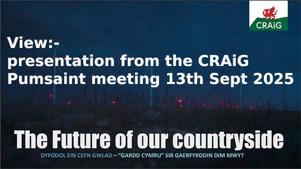 View the CRAiG Pumsaint presentation